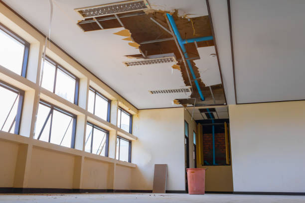 Best Water damage contractors near me  in East Hemet, CA