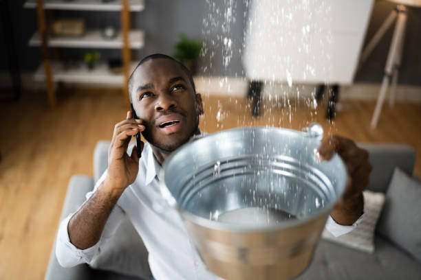  East Hemet, CA Water damage restoration Pros
