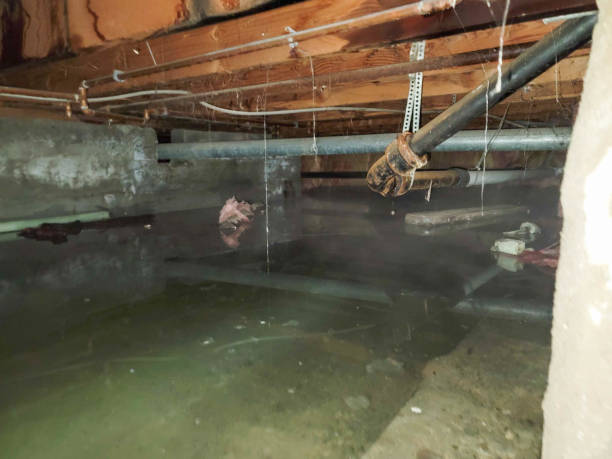 Best Ceiling water damage repair  in East Hemet, CA