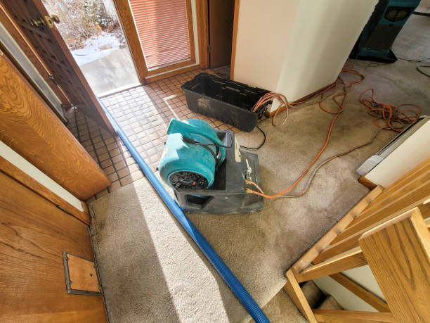 Best Water damage restoration near me  in East Hemet, CA