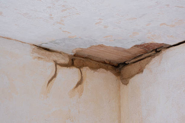 Best Fire Damage Restoration  in East Hemet, CA