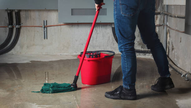 Best Water damage restoration services  in East Hemet, CA