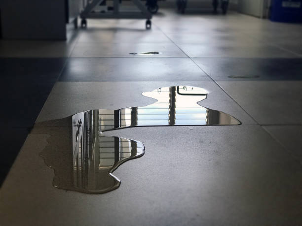 Best Water damage restoration near me  in East Hemet, CA