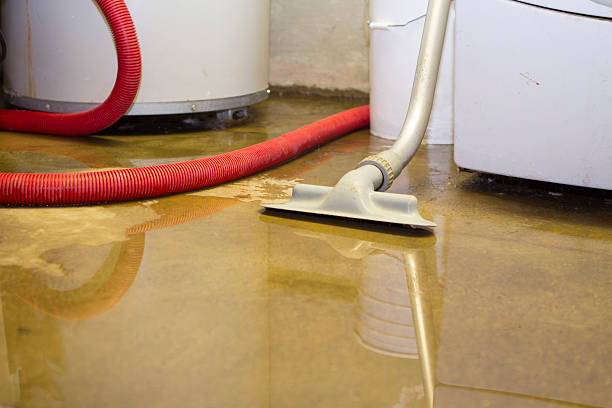 Best Sewage cleanup and water damage restoration  in East Hemet, CA