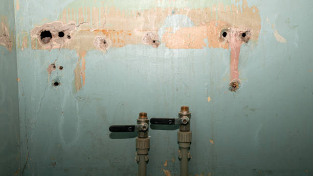 Best Local water damage restoration  in East Hemet, CA