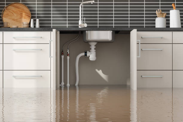 Best Commercial water damage restoration  in East Hemet, CA