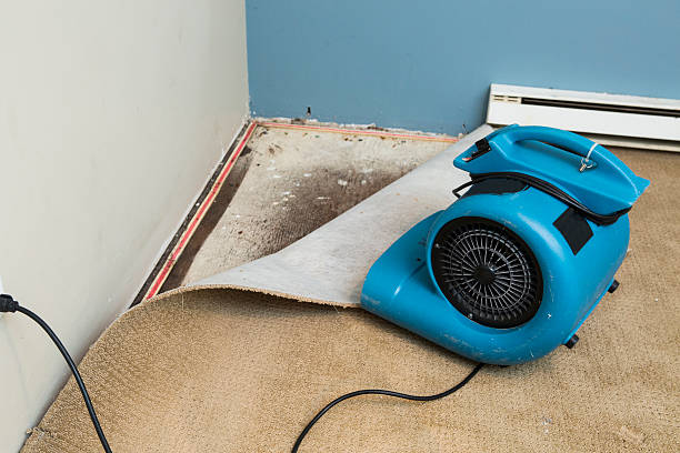 Best Ceiling water damage repair  in East Hemet, CA